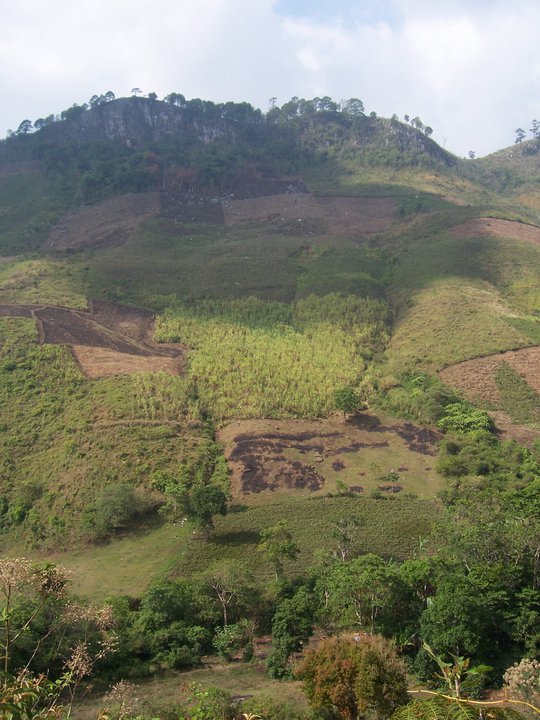 Hill Farming (Author Photo)